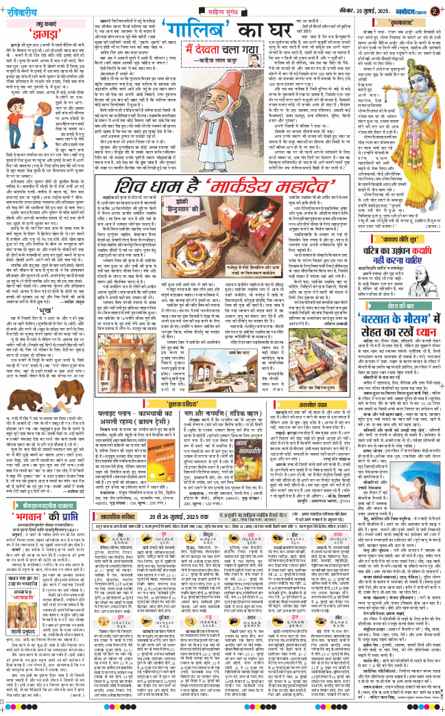 Magazine 2025-07-20