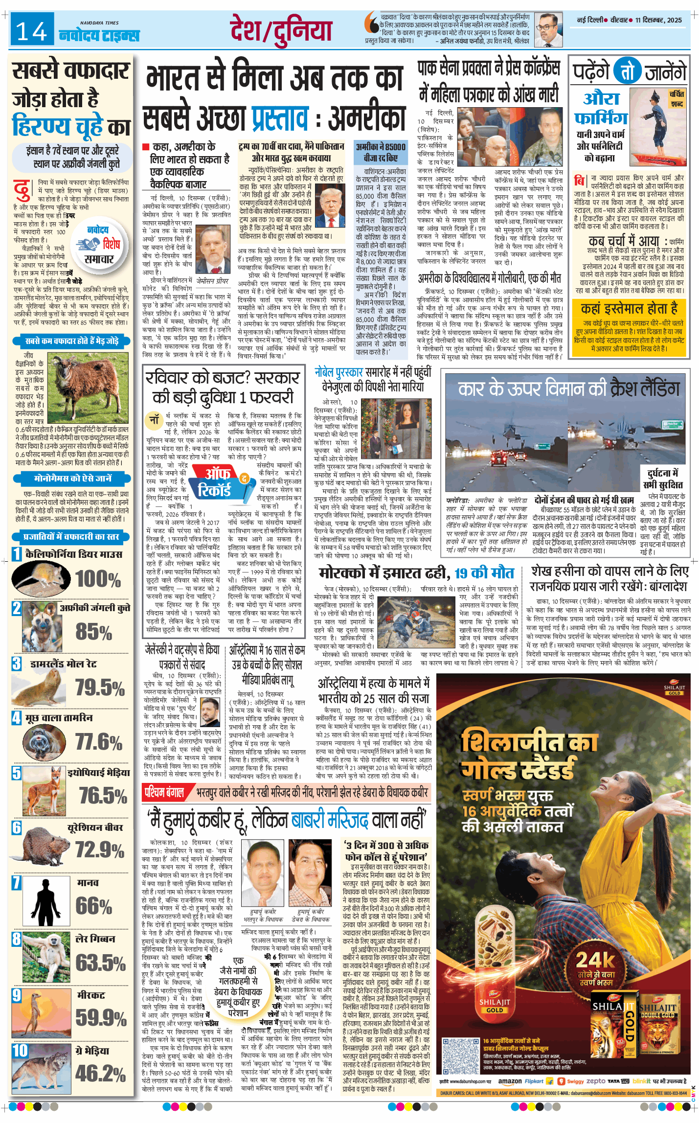 Main Edition 2025-12-11