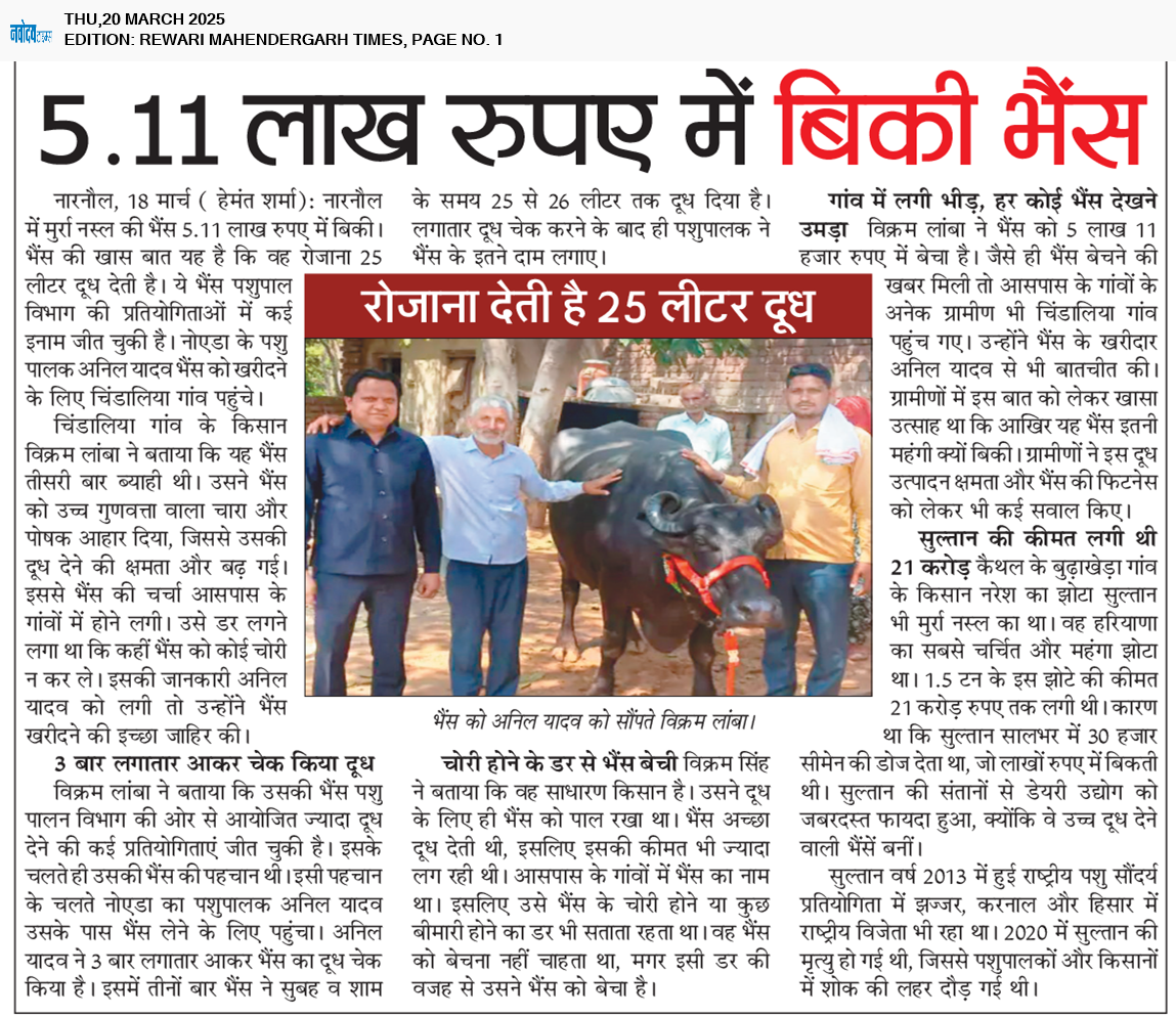 REWARI MAHENDERGARH TIMES 3/20/2025 12:00:00 AM