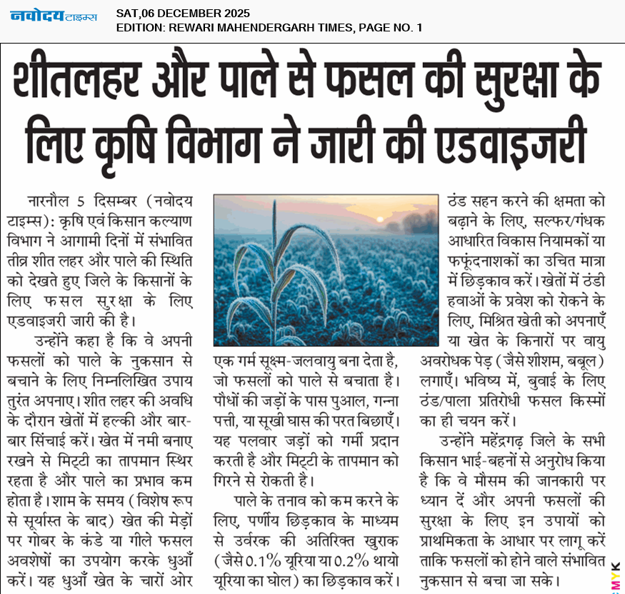 REWARI MAHENDERGARH TIMES 12/6/2025 12:00:00 AM