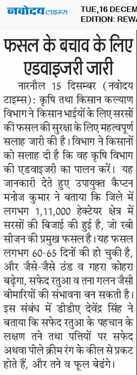 REWARI MAHENDERGARH TIMES 12/16/2025 12:00:00 AM