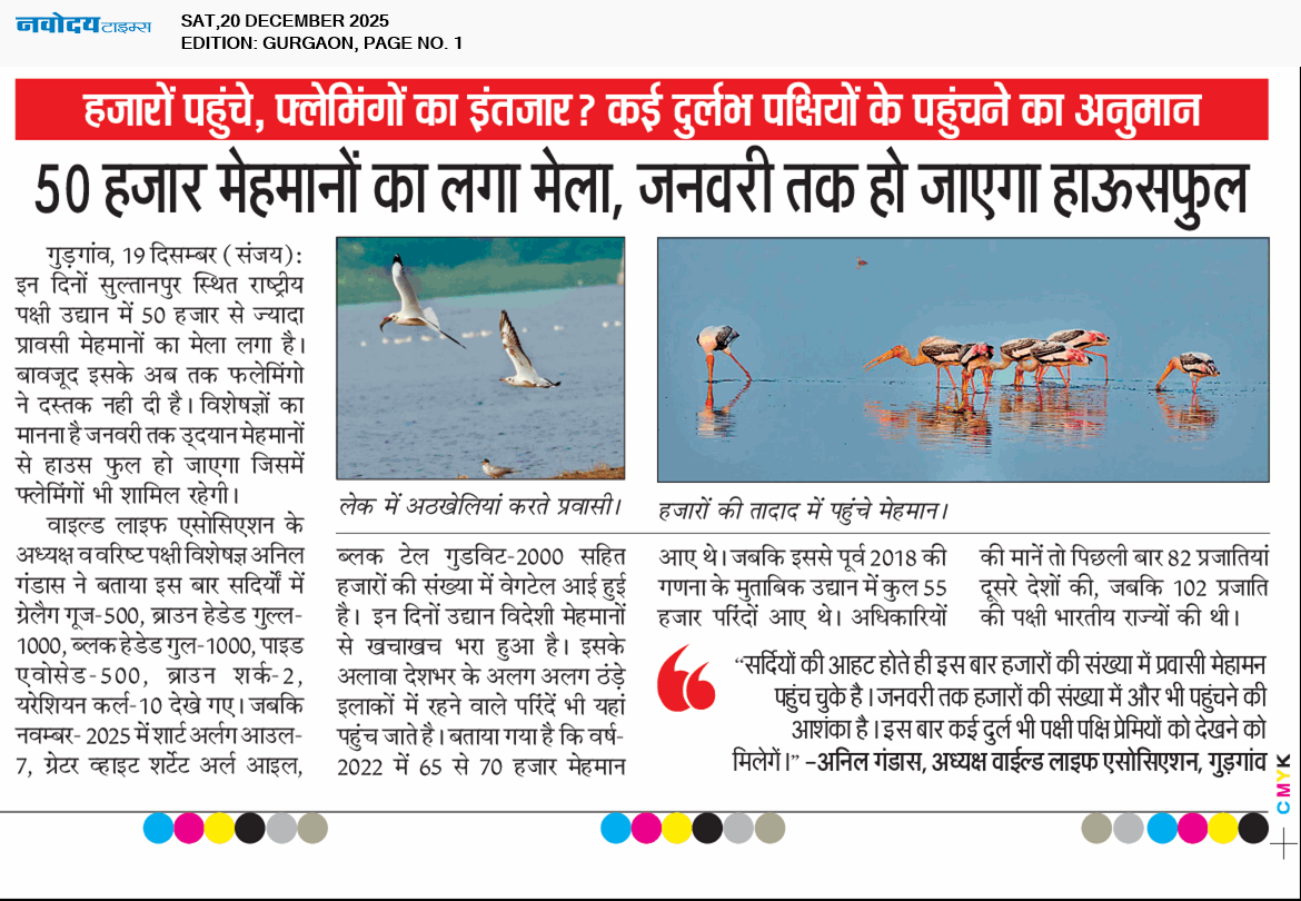 Gurgaon 12/20/2025 12:00:00 AM