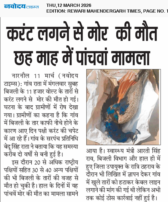 REWARI MAHENDERGARH TIMES 3/12/2026 12:00:00 AM