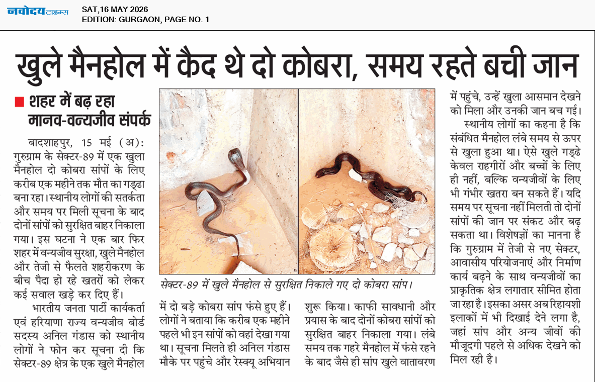 Gurgaon 5/16/2026 12:00:00 AM
