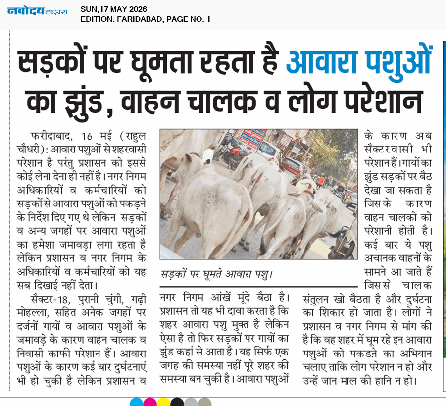 Faridabad 5/17/2026 12:00:00 AM