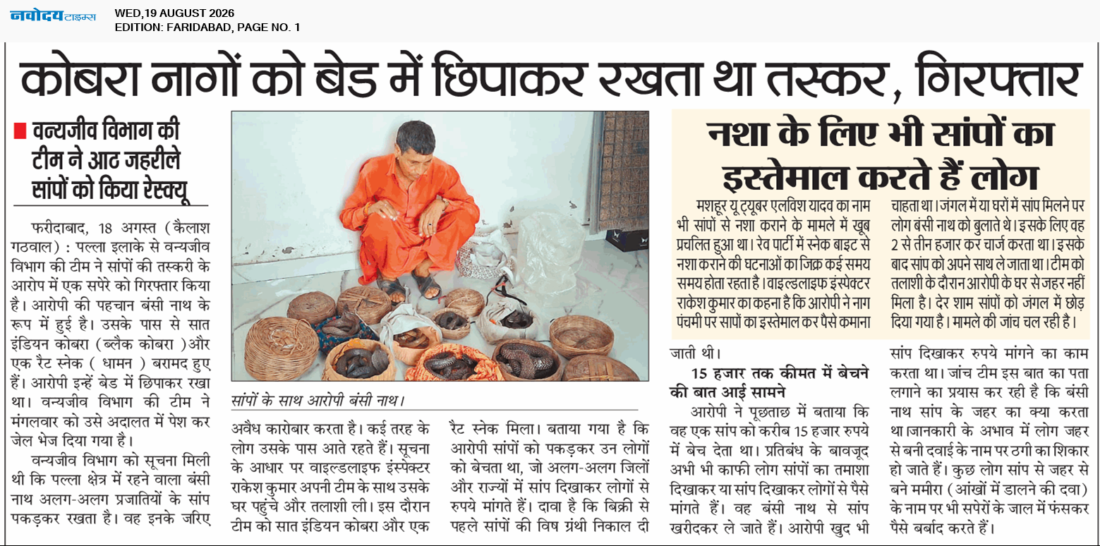 Faridabad 8/19/2026 12:00:00 AM