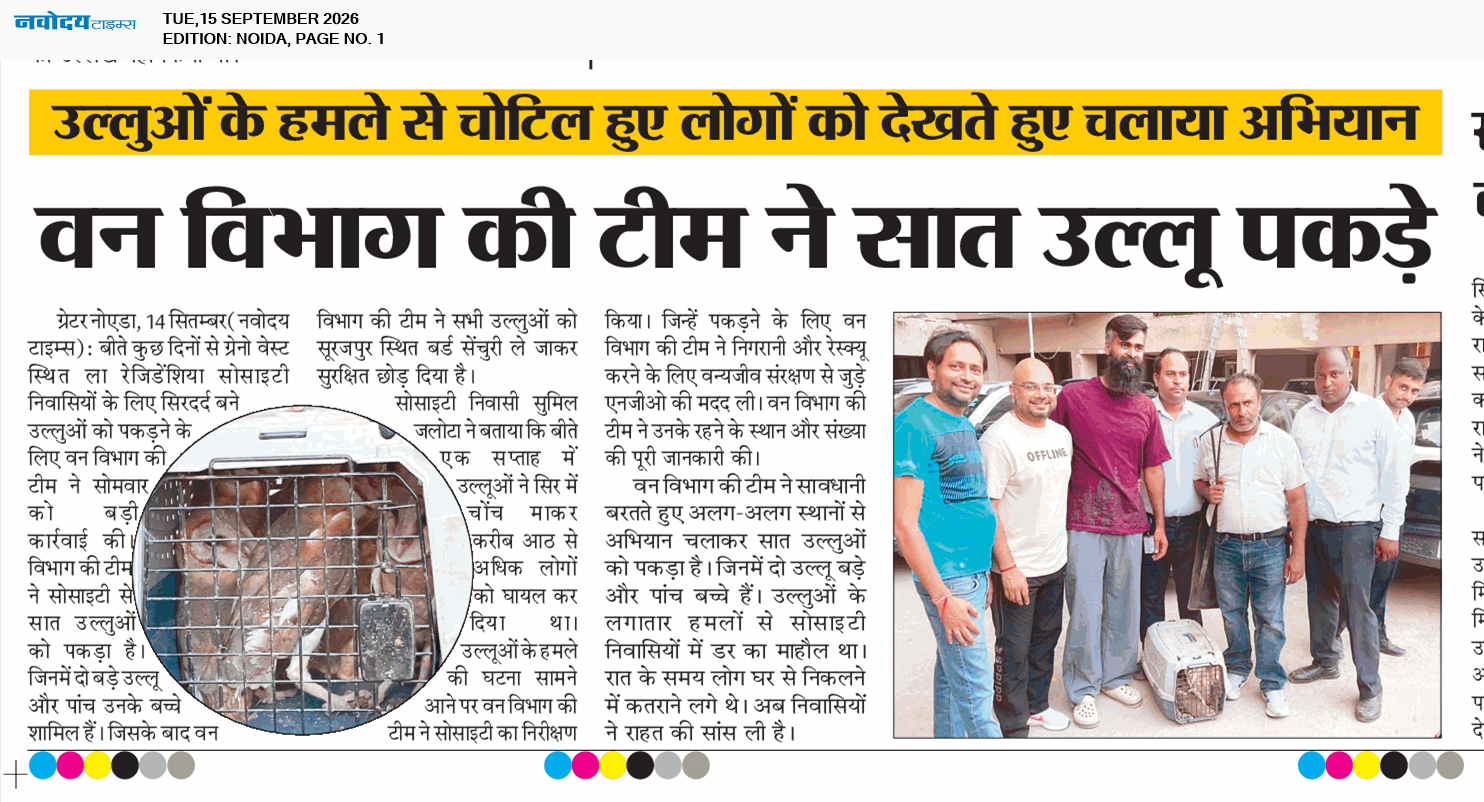 Noida 9/15/2026 12:00:00 AM